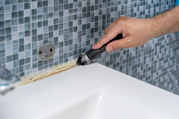 Best Certified Mold Removal  in Theodore, AL